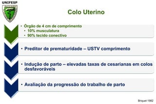 Briquet 1982Colo Uterino