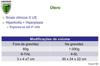 Briquet 1982ÚteroSinais clínicos X US Hipertrofia + HiperplasiaEspessa-se até 4º mês