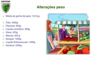 Alterações pesoMédia de ganho de peso: 12,5 kgFeto: 3400gPlacenta: 650gLíquidoamniótico: 800gÚtero: 970gMamas: 405 gSangue: 1450gLíquidoExtravascular: 1480gGordura: 3345g