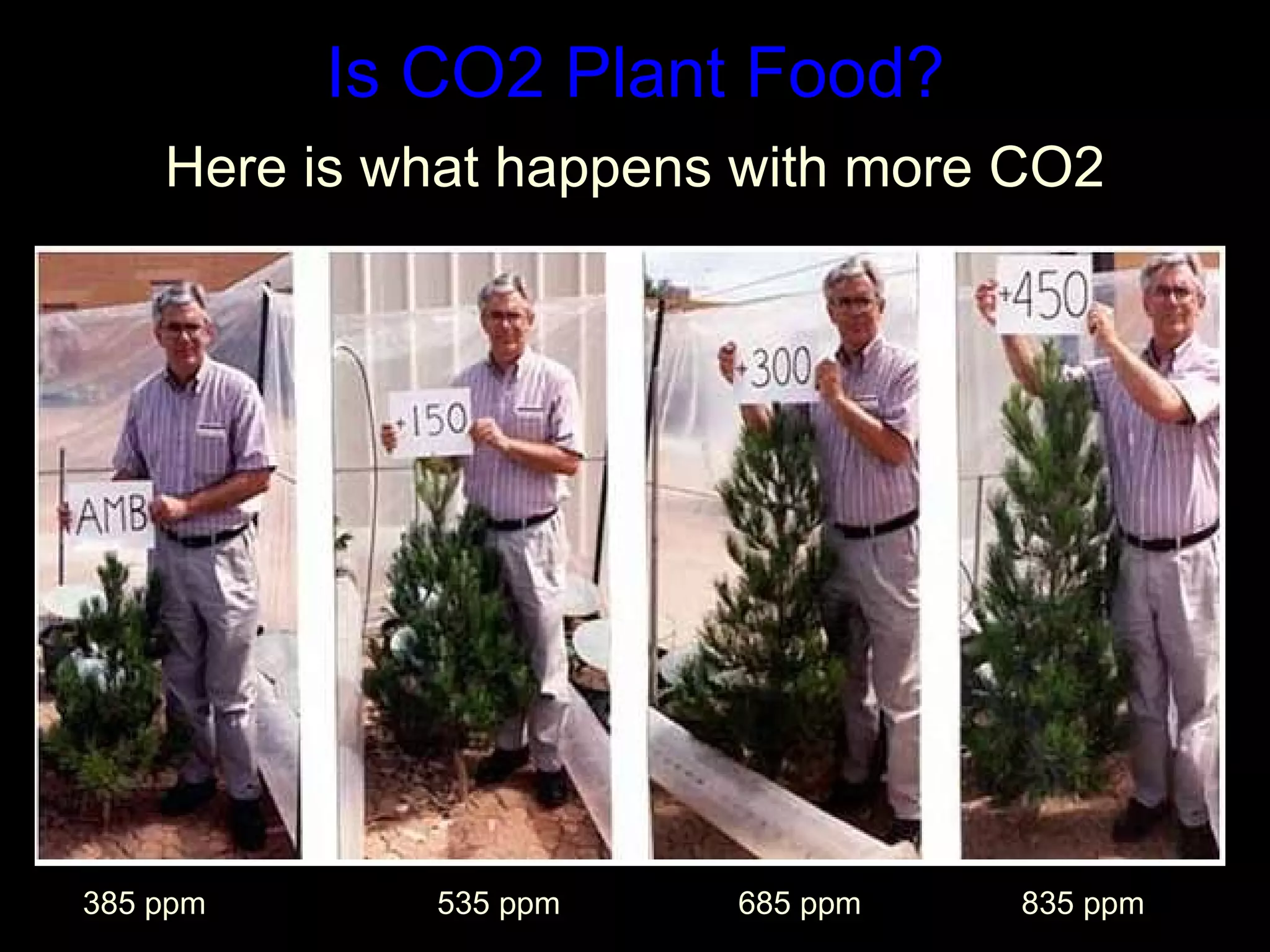Is CO2 Plant Food? Here is what happens with more CO2 385 ppm  535 ppm  685 ppm  835 ppm 