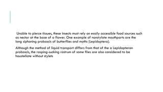 modification in mouthparts of insects.pptx