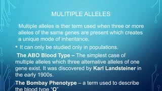 MULITIPLE ALLELES
• Multiple alleles is ther term used when three or more
alleles of the same genes are present which creates
a unique mode of inheritance.
• It can only be studied only in populations.
The ABO Blood Type – The simplest case of
multiple alleles which three alternative alleles of one
gene exist. It was discovered by Karl Landsteiner in
the early 1900s.
The Bombay Phenotype – a term used to describe
 