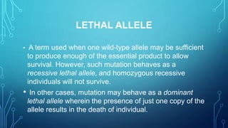 LETHAL ALLELE
• A term used when one wild-type allele may be sufficient
to produce enough of the essential product to allow
survival. However, such mutation behaves as a
recessive lethal allele, and homozygous recessive
individuals will not survive.
• In other cases, mutation may behave as a dominant
lethal allele wherein the presence of just one copy of the
allele results in the death of individual.
 
