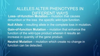 ALLELES ALTER PHENOTYPES IN
DIFFERENT WAYS
Loss- of-function Mutation – mutation that causes
dimunition or the loss the specific wild-type function.
Null Allele – resulting allele in the complete loss in mutation.
Gain-of-function Mutation – mutation that enhance the
function of the wild-type product wherein it results an
increase in quantity of the gene product.
Neutral Mutation – mutation which create no change in
function can be detected.
 