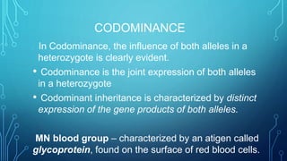 CODOMINANCE
• In Codominance, the influence of both alleles in a
heterozygote is clearly evident.
• Codominance is the joint expression of both alleles
in a heterozygote
• Codominant inheritance is characterized by distinct
expression of the gene products of both alleles.
MN blood group – characterized by an atigen called
glycoprotein, found on the surface of red blood cells.
 