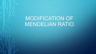 MODIFICATION OF
MENDELIAN RATIO
 