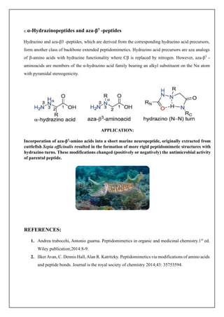 Design of Peptidomimetics by Modification of amino acids PDF notes.pdf