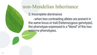 non-Mendelian Inheritance
2. Incomplete dominance
-when two contrasting alleles are present in
the same locus or trait (heterozygous genotype),
the phenotype expressed is a “blend” of the two
extreme phenotypes.
10
 