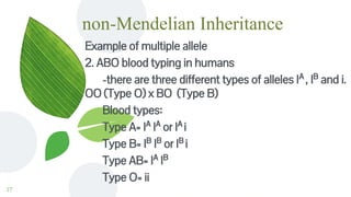 non-Mendelian Inheritance
Example of multiple allele
2. ABO blood typing in humans
-there are three different types of alleles IA
, IB
and i.
OO (Type O) x BO (Type B)
Blood types:
Type A= IA
IA
or IA
i
Type B= IB
IB
or IB
i
Type AB= IA
IB
Type O= ii
17
 