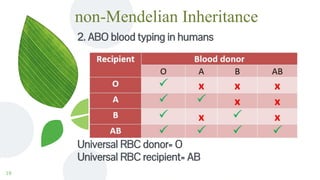non-Mendelian Inheritance
2. ABO blood typing in humans
Universal RBC donor= O
Universal RBC recipient= AB
19
 
