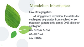 Mendelian Inheritance
Law of Segregation
-during gamete formation, the alleles for
each gene segregates from each other so
that each gamete only carries ONE allele for
each gene.
Aa= 50% A, 50%a
AA= 100% A
aa= 100%a
3
 