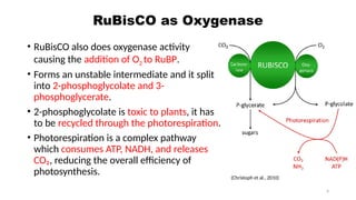 Modifications in RuBisCO system to enhance photosynthesis .pptx