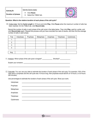 Modified Cell Division Gizmo
