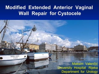 Modified Extended Anterior Vaginal
Wall Repair for Cystocele
Maksim Valenčić
University Hospital Rijeka
Department for Urology
 