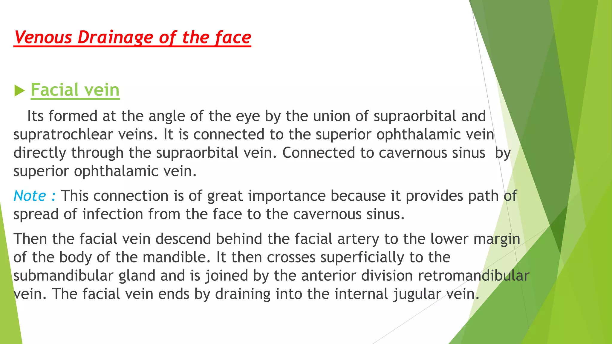 Venous Drainage of the face
 Facial vein
Its formed at the angle of the eye by the union of supraorbital and
supratrochlear veins. It is connected to the superior ophthalamic vein
directly through the supraorbital vein. Connected to cavernous sinus by
superior ophthalamic vein.
Note : This connection is of great importance because it provides path of
spread of infection from the face to the cavernous sinus.
Then the facial vein descend behind the facial artery to the lower margin
of the body of the mandible. It then crosses superficially to the
submandibular gland and is joined by the anterior division retromandibular
vein. The facial vein ends by draining into the internal jugular vein.
 