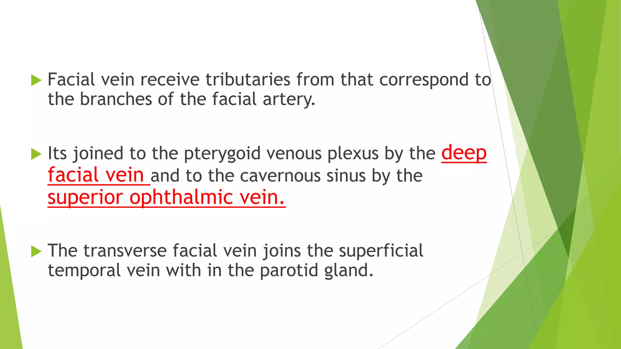  Facial vein receive tributaries from that correspond to
the branches of the facial artery.
 Its joined to the pterygoid venous plexus by the deep
facial vein and to the cavernous sinus by the
superior ophthalmic vein.
 The transverse facial vein joins the superficial
temporal vein with in the parotid gland.
 