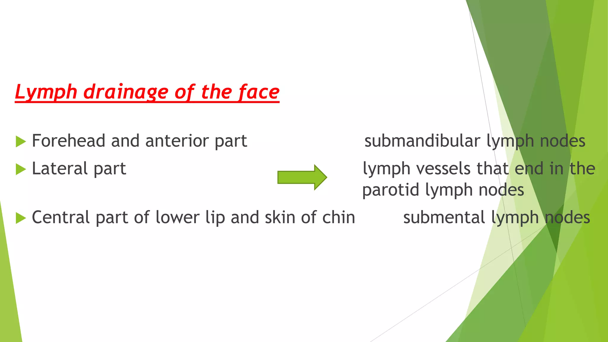Lymph drainage of the face
 Forehead and anterior part submandibular lymph nodes
 Lateral part lymph vessels that end in the
parotid lymph nodes
 Central part of lower lip and skin of chin submental lymph nodes
 