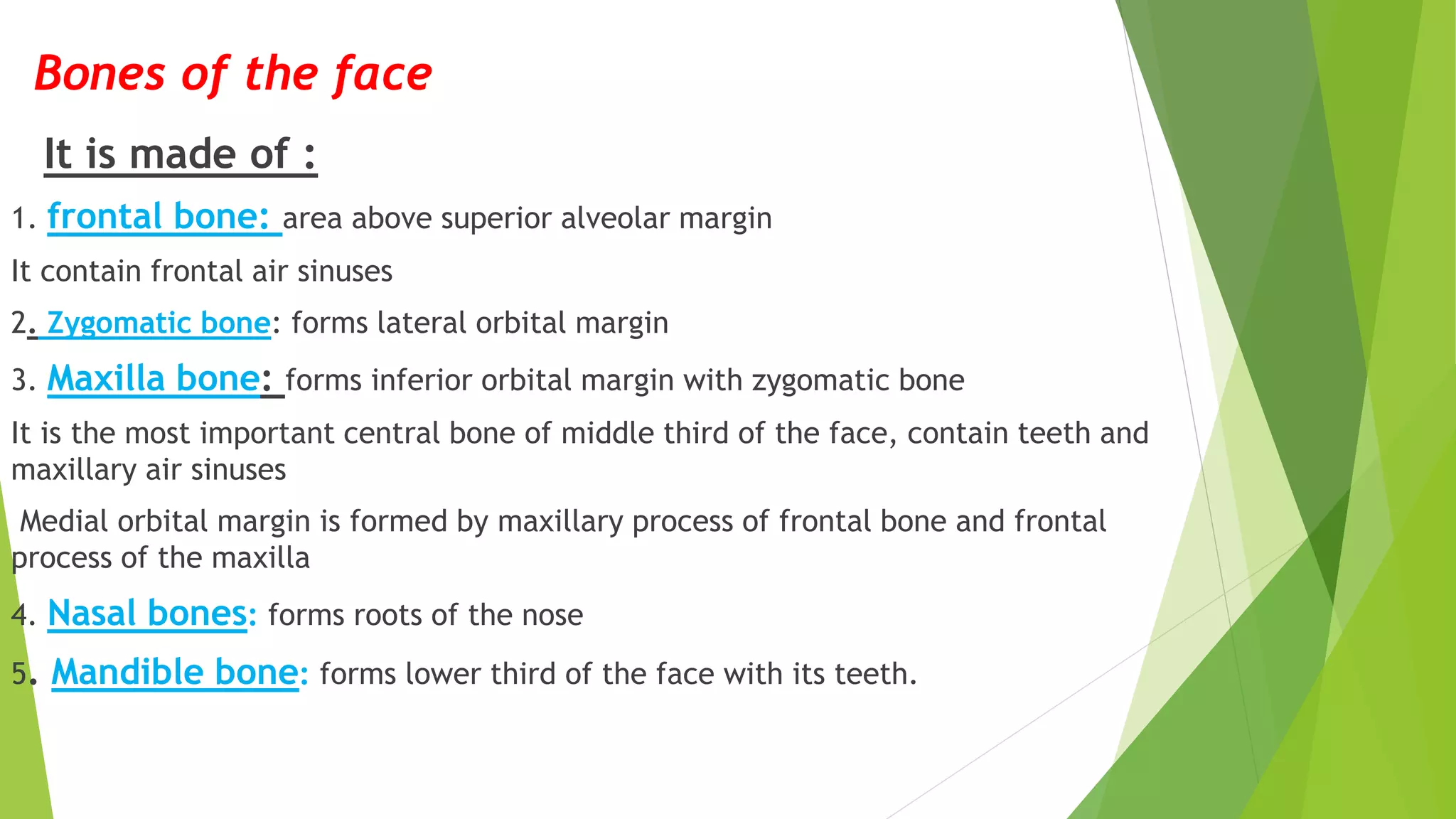 Bones of the face
It is made of :
1. frontal bone: area above superior alveolar margin
It contain frontal air sinuses
2. Zygomatic bone: forms lateral orbital margin
3. Maxilla bone: forms inferior orbital margin with zygomatic bone
It is the most important central bone of middle third of the face, contain teeth and
maxillary air sinuses
Medial orbital margin is formed by maxillary process of frontal bone and frontal
process of the maxilla
4. Nasal bones: forms roots of the nose
5. Mandible bone: forms lower third of the face with its teeth.
 