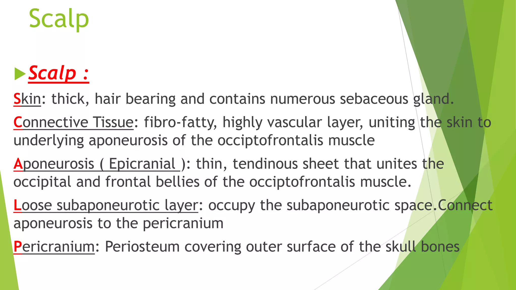 Scalp
Scalp :
Skin: thick, hair bearing and contains numerous sebaceous gland.
Connective Tissue: fibro-fatty, highly vascular layer, uniting the skin to
underlying aponeurosis of the occiptofrontalis muscle
Aponeurosis ( Epicranial ): thin, tendinous sheet that unites the
occipital and frontal bellies of the occiptofrontalis muscle.
Loose subaponeurotic layer: occupy the subaponeurotic space.Connect
aponeurosis to the pericranium
Pericranium: Periosteum covering outer surface of the skull bones
 