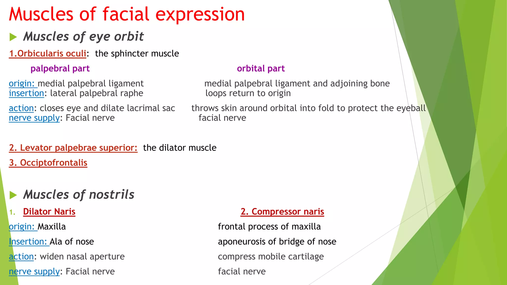 Muscles of facial expression
 Muscles of eye orbit
1.Orbicularis oculi: the sphincter muscle
palpebral part orbital part
origin: medial palpebral ligament medial palpebral ligament and adjoining bone
insertion: lateral palpebral raphe loops return to origin
action: closes eye and dilate lacrimal sac throws skin around orbital into fold to protect the eyeball
nerve supply: Facial nerve facial nerve
2. Levator palpebrae superior: the dilator muscle
3. Occiptofrontalis
 Muscles of nostrils
1. Dilator Naris 2. Compressor naris
origin: Maxilla frontal process of maxilla
Insertion: Ala of nose aponeurosis of bridge of nose
action: widen nasal aperture compress mobile cartilage
nerve supply: Facial nerve facial nerve
 