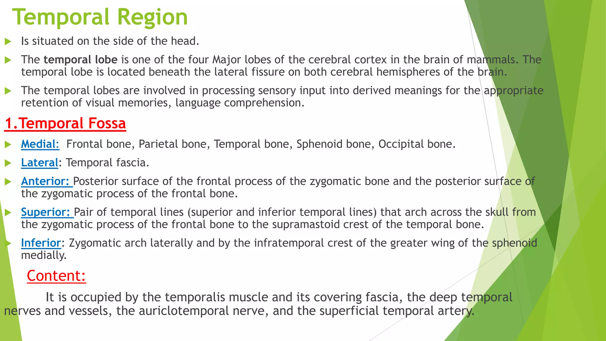 Temporal Region
 Is situated on the side of the head.
 The temporal lobe is one of the four Major lobes of the cerebral cortex in the brain of mammals. The
temporal lobe is located beneath the lateral fissure on both cerebral hemispheres of the brain.
 The temporal lobes are involved in processing sensory input into derived meanings for the appropriate
retention of visual memories, language comprehension.
1.Temporal Fossa
 Medial: Frontal bone, Parietal bone, Temporal bone, Sphenoid bone, Occipital bone.
 Lateral: Temporal fascia.
 Anterior: Posterior surface of the frontal process of the zygomatic bone and the posterior surface of
the zygomatic process of the frontal bone.
 Superior: Pair of temporal lines (superior and inferior temporal lines) that arch across the skull from
the zygomatic process of the frontal bone to the supramastoid crest of the temporal bone.
 Inferior: Zygomatic arch laterally and by the infratemporal crest of the greater wing of the sphenoid
medially.
Content:
It is occupied by the temporalis muscle and its covering fascia, the deep temporal
nerves and vessels, the auriclotemporal nerve, and the superficial temporal artery.
 