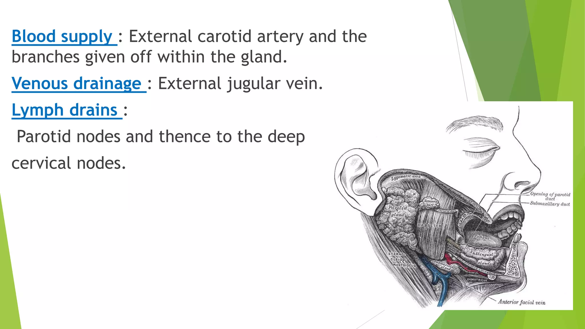 Blood supply : External carotid artery and the
branches given off within the gland.
Venous drainage : External jugular vein.
Lymph drains :
Parotid nodes and thence to the deep
cervical nodes.
 