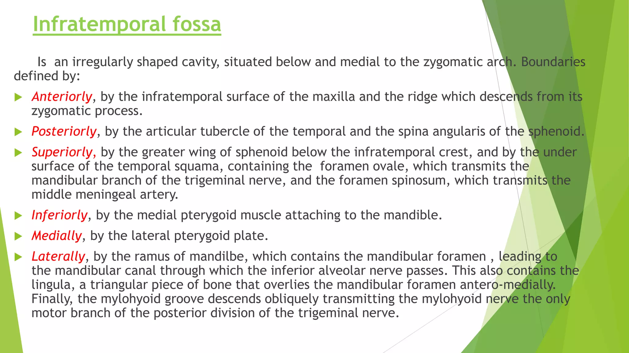 Infratemporal fossa
Is an irregularly shaped cavity, situated below and medial to the zygomatic arch. Boundaries
defined by:
 Anteriorly, by the infratemporal surface of the maxilla and the ridge which descends from its
zygomatic process.
 Posteriorly, by the articular tubercle of the temporal and the spina angularis of the sphenoid.
 Superiorly, by the greater wing of sphenoid below the infratemporal crest, and by the under
surface of the temporal squama, containing the foramen ovale, which transmits the
mandibular branch of the trigeminal nerve, and the foramen spinosum, which transmits the
middle meningeal artery.
 Inferiorly, by the medial pterygoid muscle attaching to the mandible.
 Medially, by the lateral pterygoid plate.
 Laterally, by the ramus of mandilbe, which contains the mandibular foramen , leading to
the mandibular canal through which the inferior alveolar nerve passes. This also contains the
lingula, a triangular piece of bone that overlies the mandibular foramen antero-medially.
Finally, the mylohyoid groove descends obliquely transmitting the mylohyoid nerve the only
motor branch of the posterior division of the trigeminal nerve.
 