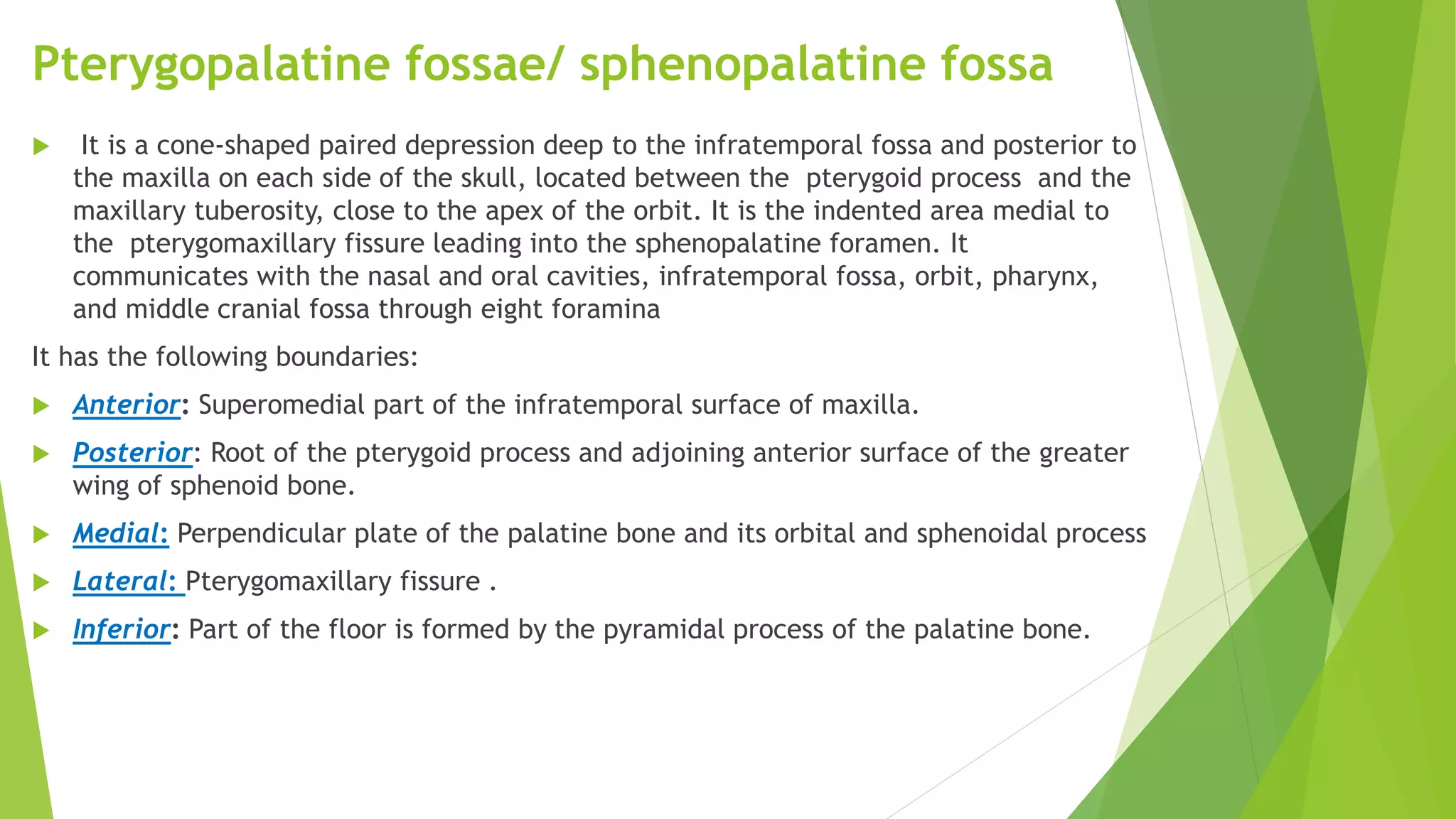 Pterygopalatine fossae/ sphenopalatine fossa
 It is a cone-shaped paired depression deep to the infratemporal fossa and posterior to
the maxilla on each side of the skull, located between the pterygoid process and the
maxillary tuberosity, close to the apex of the orbit. It is the indented area medial to
the pterygomaxillary fissure leading into the sphenopalatine foramen. It
communicates with the nasal and oral cavities, infratemporal fossa, orbit, pharynx,
and middle cranial fossa through eight foramina
It has the following boundaries:
 Anterior: Superomedial part of the infratemporal surface of maxilla.
 Posterior: Root of the pterygoid process and adjoining anterior surface of the greater
wing of sphenoid bone.
 Medial: Perpendicular plate of the palatine bone and its orbital and sphenoidal process
 Lateral: Pterygomaxillary fissure .
 Inferior: Part of the floor is formed by the pyramidal process of the palatine bone.
 