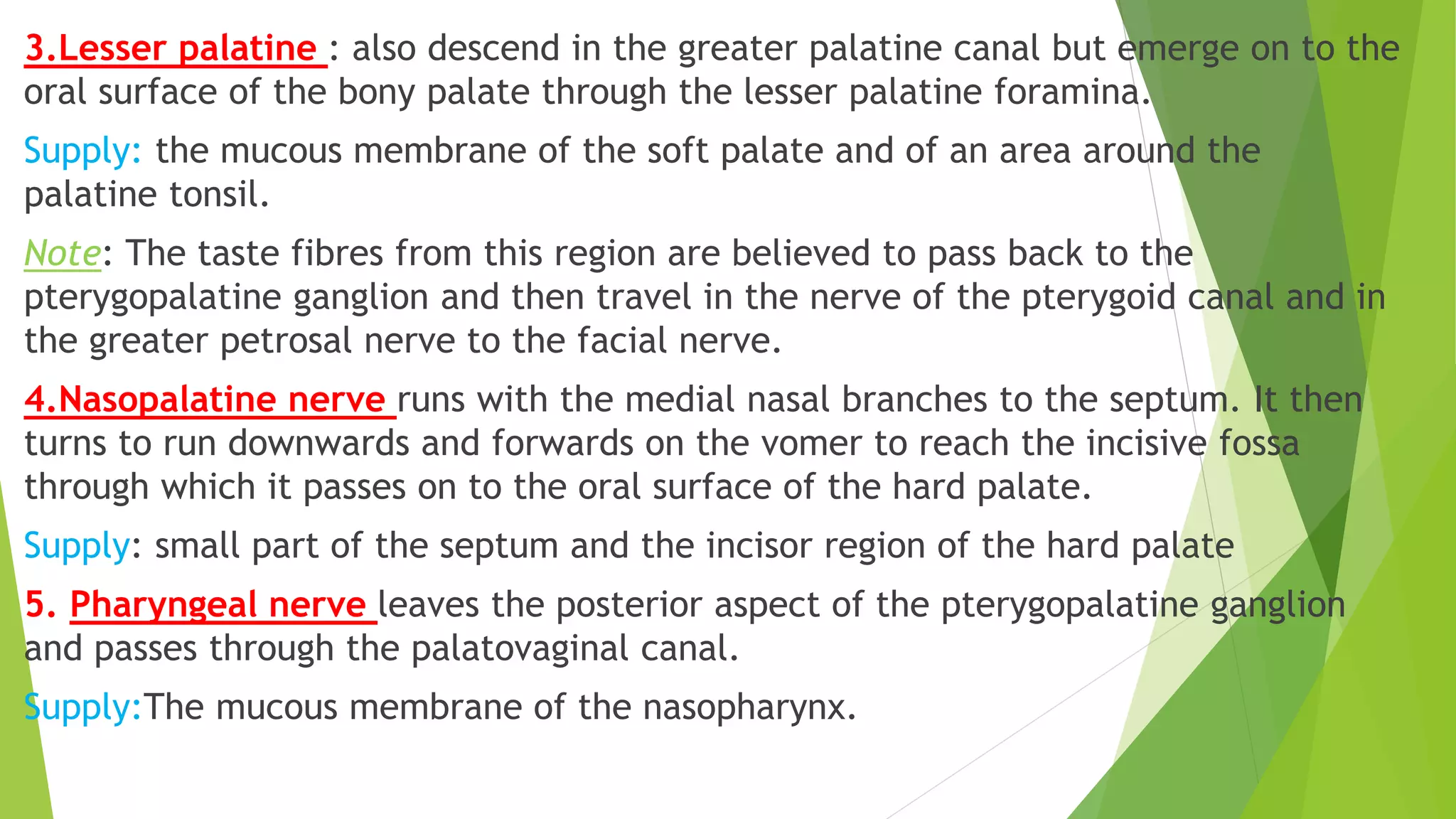 3.Lesser palatine : also descend in the greater palatine canal but emerge on to the
oral surface of the bony palate through the lesser palatine foramina.
Supply: the mucous membrane of the soft palate and of an area around the
palatine tonsil.
Note: The taste fibres from this region are believed to pass back to the
pterygopalatine ganglion and then travel in the nerve of the pterygoid canal and in
the greater petrosal nerve to the facial nerve.
4.Nasopalatine nerve runs with the medial nasal branches to the septum. It then
turns to run downwards and forwards on the vomer to reach the incisive fossa
through which it passes on to the oral surface of the hard palate.
Supply: small part of the septum and the incisor region of the hard palate
5. Pharyngeal nerve leaves the posterior aspect of the pterygopalatine ganglion
and passes through the palatovaginal canal.
Supply:The mucous membrane of the nasopharynx.
 