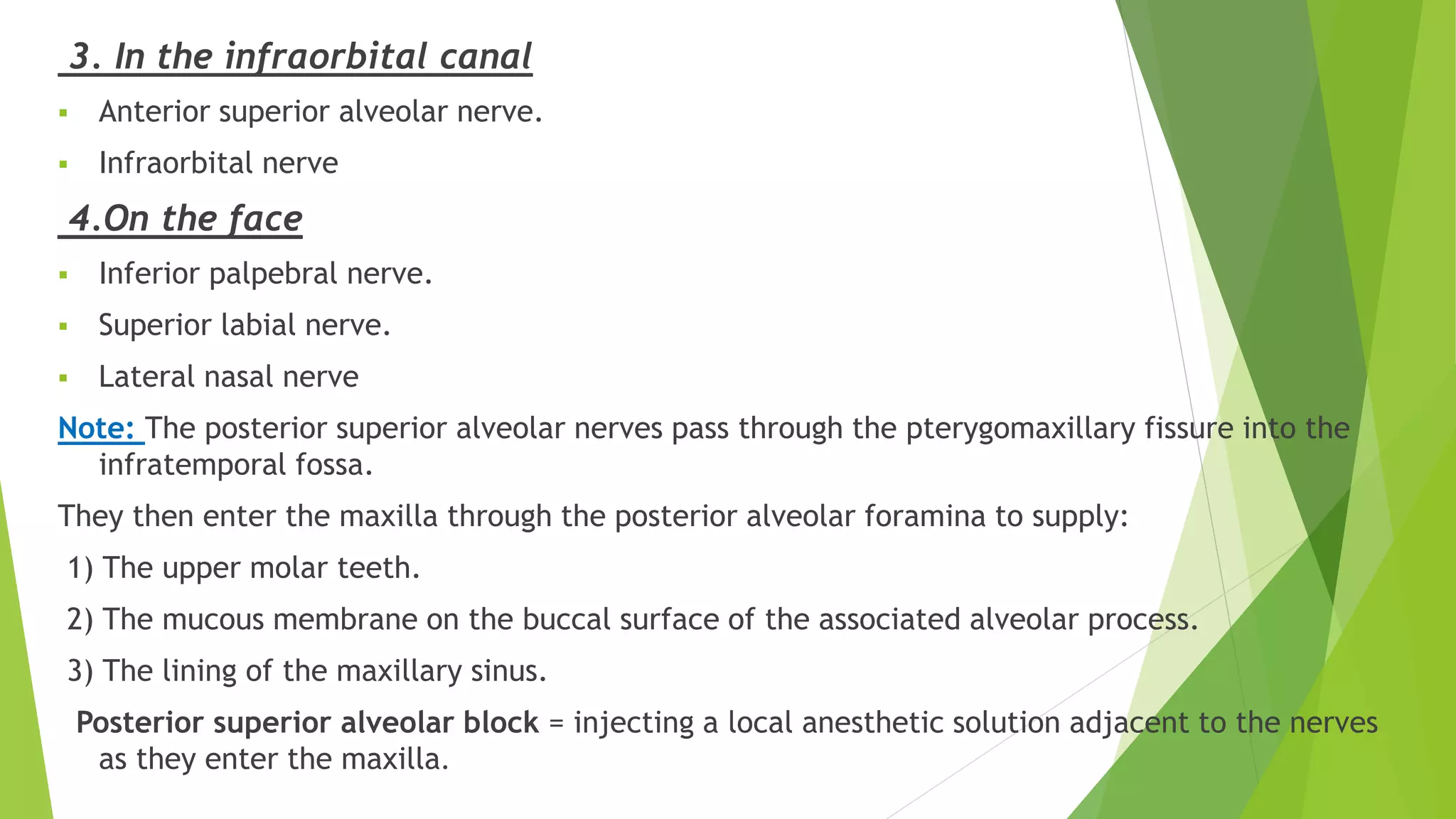 3. In the infraorbital canal
 Anterior superior alveolar nerve.
 Infraorbital nerve
4.On the face
 Inferior palpebral nerve.
 Superior labial nerve.
 Lateral nasal nerve
Note: The posterior superior alveolar nerves pass through the pterygomaxillary fissure into the
infratemporal fossa.
They then enter the maxilla through the posterior alveolar foramina to supply:
1) The upper molar teeth.
2) The mucous membrane on the buccal surface of the associated alveolar process.
3) The lining of the maxillary sinus.
Posterior superior alveolar block = injecting a local anesthetic solution adjacent to the nerves
as they enter the maxilla.
 