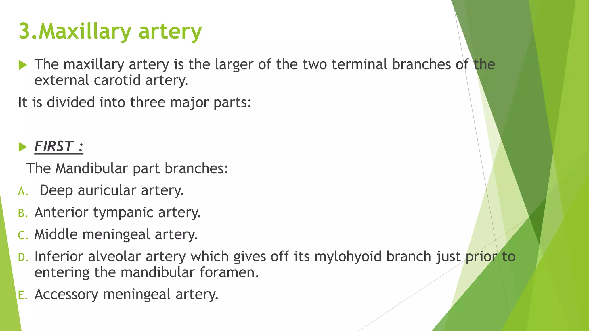 3.Maxillary artery
 The maxillary artery is the larger of the two terminal branches of the
external carotid artery.
It is divided into three major parts:
 FIRST :
The Mandibular part branches:
A. Deep auricular artery.
B. Anterior tympanic artery.
C. Middle meningeal artery.
D. Inferior alveolar artery which gives off its mylohyoid branch just prior to
entering the mandibular foramen.
E. Accessory meningeal artery.
 