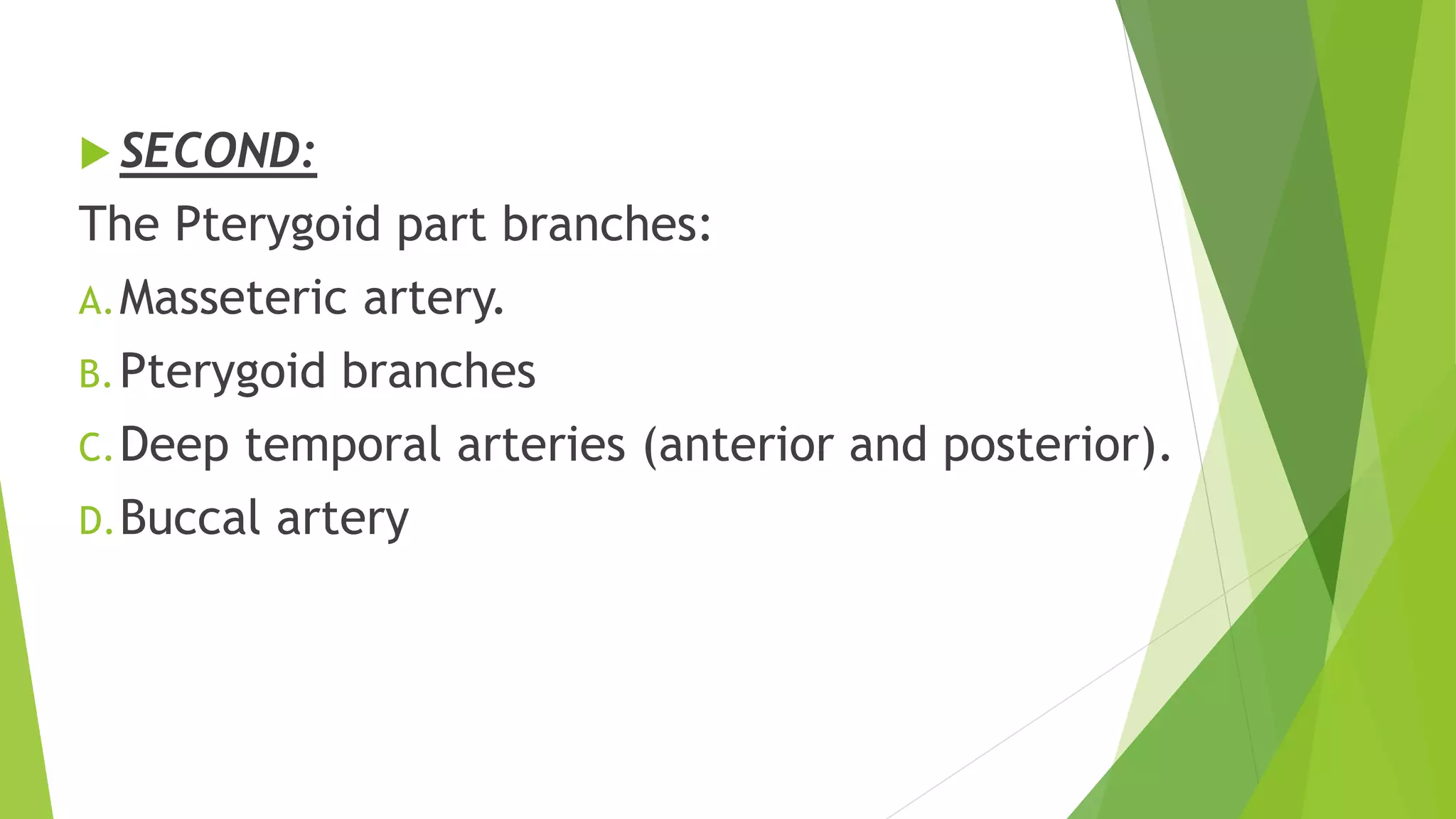  SECOND:
The Pterygoid part branches:
A.Masseteric artery.
B.Pterygoid branches
C.Deep temporal arteries (anterior and posterior).
D.Buccal artery
 