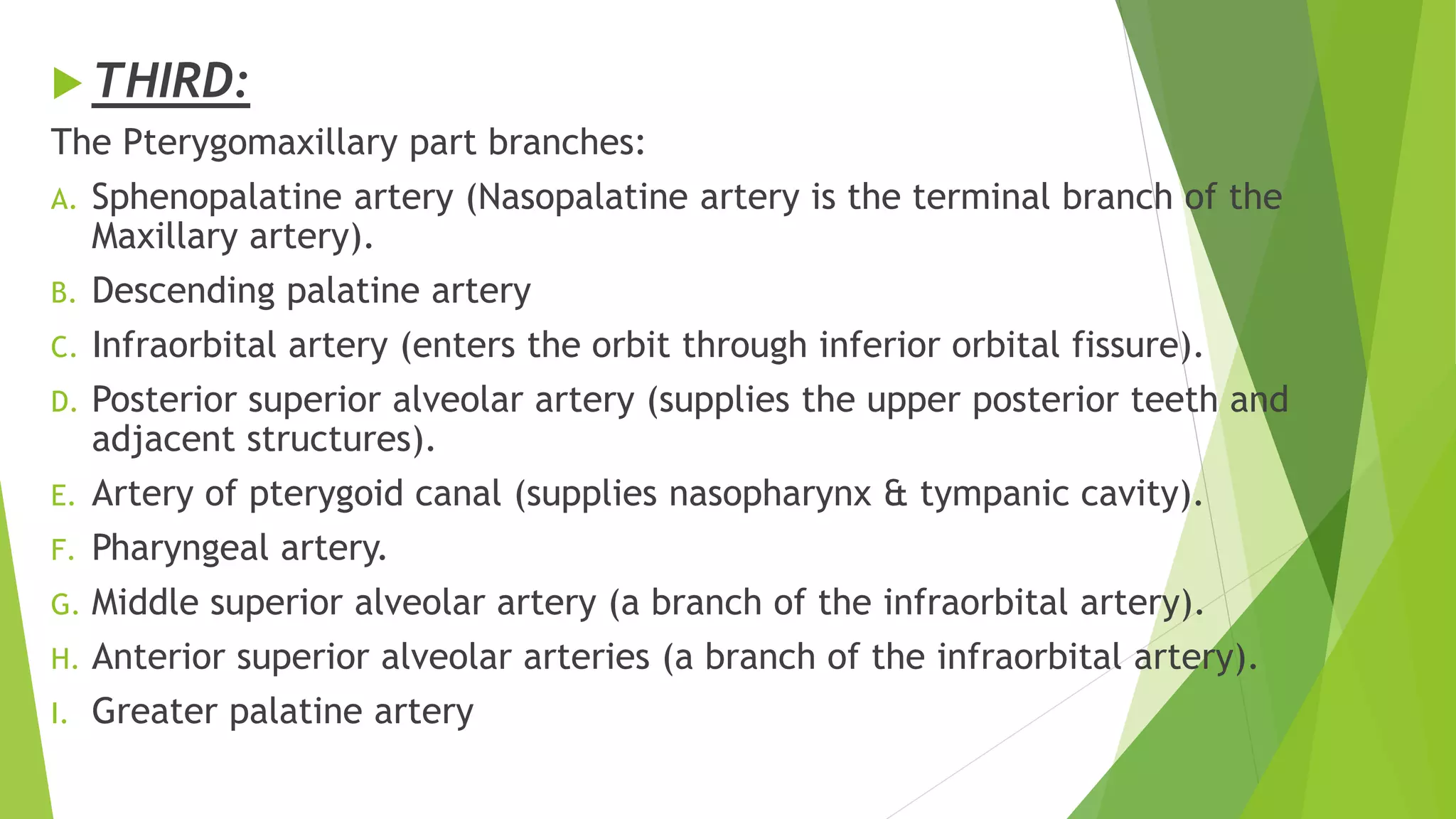  THIRD:
The Pterygomaxillary part branches:
A. Sphenopalatine artery (Nasopalatine artery is the terminal branch of the
Maxillary artery).
B. Descending palatine artery
C. Infraorbital artery (enters the orbit through inferior orbital fissure).
D. Posterior superior alveolar artery (supplies the upper posterior teeth and
adjacent structures).
E. Artery of pterygoid canal (supplies nasopharynx & tympanic cavity).
F. Pharyngeal artery.
G. Middle superior alveolar artery (a branch of the infraorbital artery).
H. Anterior superior alveolar arteries (a branch of the infraorbital artery).
I. Greater palatine artery
 