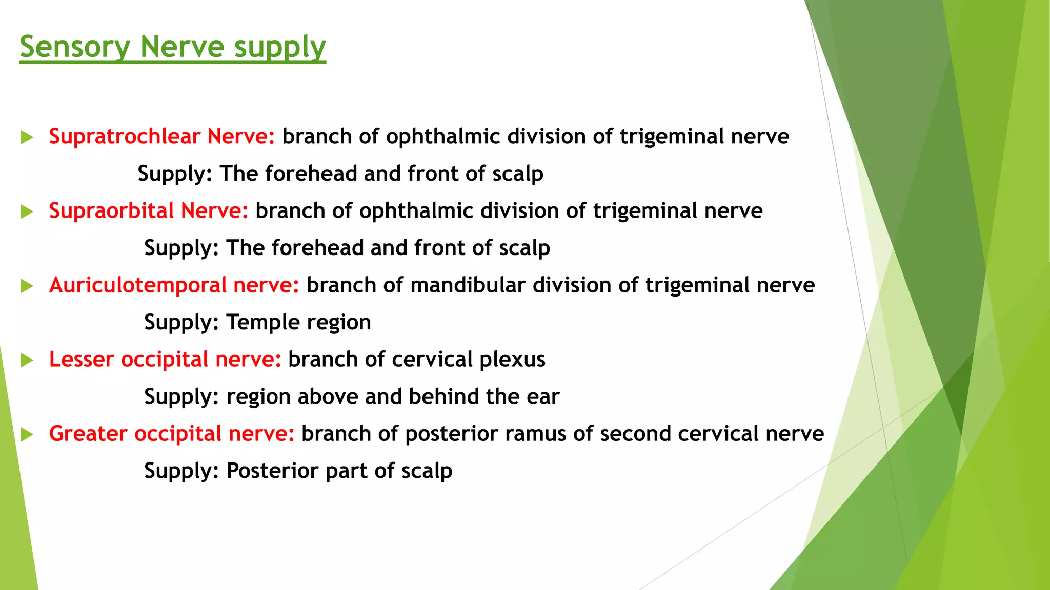 Sensory Nerve supply
 Supratrochlear Nerve: branch of ophthalmic division of trigeminal nerve
Supply: The forehead and front of scalp
 Supraorbital Nerve: branch of ophthalmic division of trigeminal nerve
Supply: The forehead and front of scalp
 Auriculotemporal nerve: branch of mandibular division of trigeminal nerve
Supply: Temple region
 Lesser occipital nerve: branch of cervical plexus
Supply: region above and behind the ear
 Greater occipital nerve: branch of posterior ramus of second cervical nerve
Supply: Posterior part of scalp
 