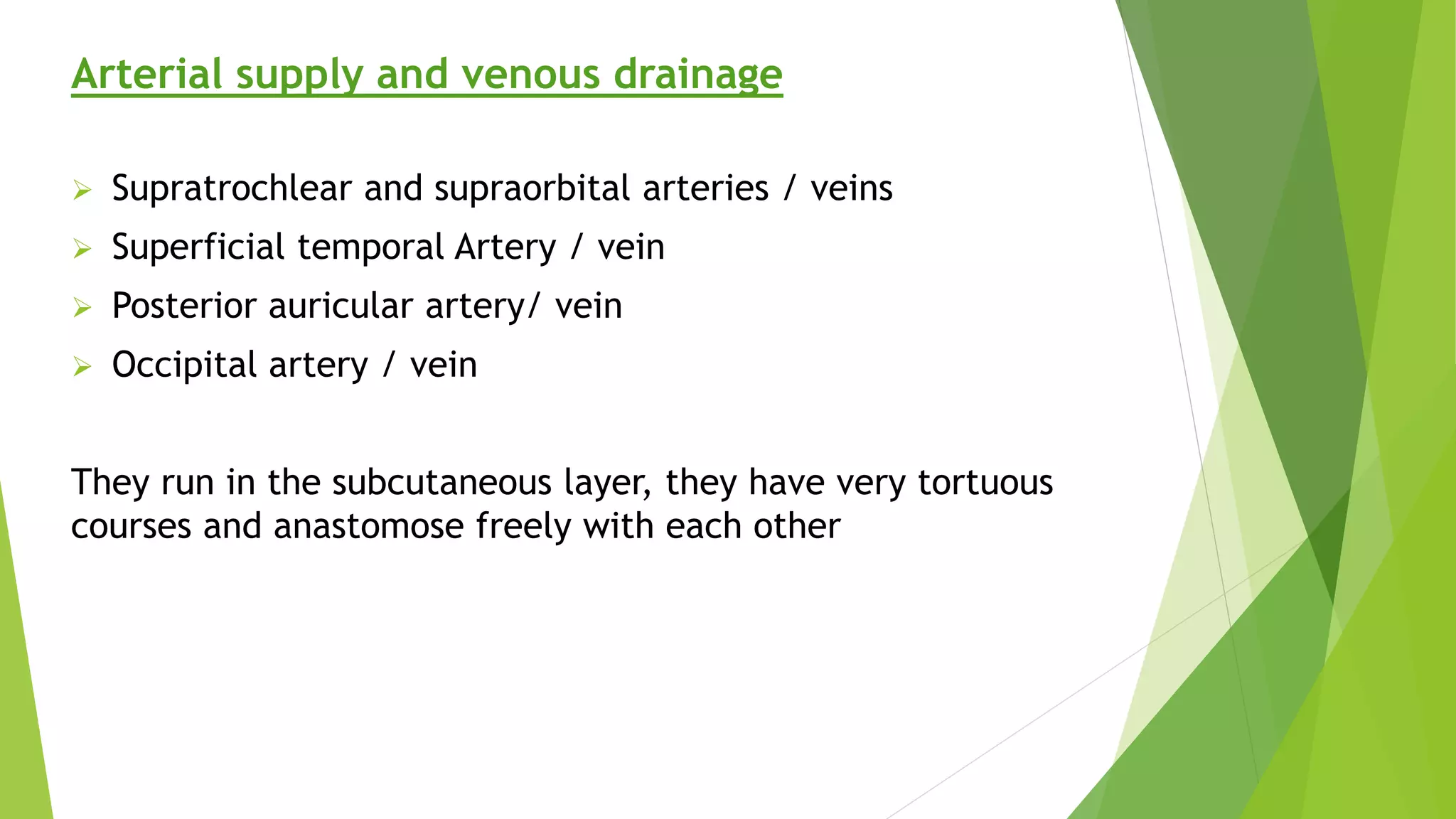 Arterial supply and venous drainage
 Supratrochlear and supraorbital arteries / veins
 Superficial temporal Artery / vein
 Posterior auricular artery/ vein
 Occipital artery / vein
They run in the subcutaneous layer, they have very tortuous
courses and anastomose freely with each other
 