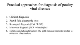 Practical approaches for diagnosis of poultry
viral diseases
1. Clinical diagnosis
2. Rapid field diagnostic tests
3. Serological diagnosis (HI& ELISA)
4. Molecular diagnosis (PCR technologies)
5. Isolation and characterization (the gold standard methods limited to
reference laboratories)
 
