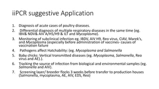 iiPCR suggestive Application
1. Diagnosis of acute cases of poultry diseases.
2. Differential diagnosis of multiple respiratory diseases in the same time (eg.
IBV& NDV& AIV A/H5/H9 & ILT and Mycoplasma).
3. Monitoring of subclinical infection eg. IBDV, AIV H9, Reo virus, CIAV, Marek’s,
and Mycoplasma (especially before administration of vaccines- causes of
vaccination failure
4. Pathogens affect Hatchability: (eg. Mycoplasma and Salmonella
5. Baby chicks: Vertical transmitted diseases (eg. Mycoplasma, Salmonella, Reo
virus and AE).).
6. Tracking the source of infection from biological and environmental samples (eg.
Salmonella and AIV).
7. Screening layer/ breeder flocks 3 weeks before transfer to production houses
(Salmonella, mycoplasma, AE, AIV, EDS, Reo)
 
