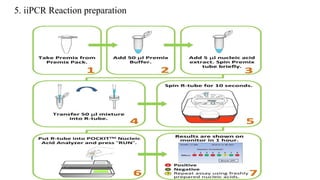 5. iiPCR Reaction preparation
 