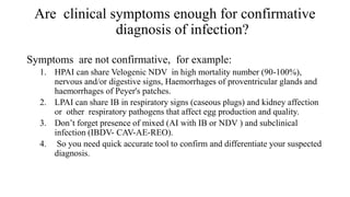 Are clinical symptoms enough for confirmative
diagnosis of infection?
Symptoms are not confirmative, for example:
1. HPAI can share Velogenic NDV in high mortality number (90-100%),
nervous and/or digestive signs, Haemorrhages of proventricular glands and
haemorrhages of Peyer's patches.
2. LPAI can share IB in respiratory signs (caseous plugs) and kidney affection
or other respiratory pathogens that affect egg production and quality.
3. Don’t forget presence of mixed (AI with IB or NDV ) and subclinical
infection (IBDV- CAV-AE-REO).
4. So you need quick accurate tool to confirm and differentiate your suspected
diagnosis.
 