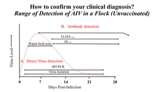 How to confirm your clinical diagnosis?
Range of Detection of AIV in a Flock (Unvaccinated)VirusLevel
Days Post-Infection
0 7 14 21 28
Rapid field tests
B. Antibody detection
rRT-PCR
Virus Isolation
HI (IgG)
ELISA (IgG)
A. Direct Virus detection
 