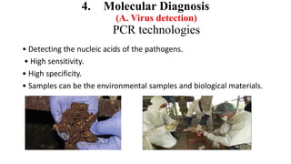 4. Molecular Diagnosis
(A. Virus detection)
PCR technologies
• Detecting the nucleic acids of the pathogens.
• High sensitivity.
• High specificity.
• Samples can be the environmental samples and biological materials.
 