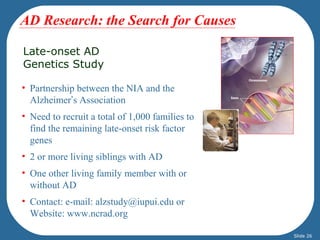 AD Research: the Search for Causes 
Late-onset AD 
Genetics Study 
• Partnership between the NIA and the 
Alzheimer’s Association 
• Need to recruit a total of 1,000 families to 
find the remaining late-onset risk factor 
genes 
• 2 or more living siblings with AD 
• One other living family member with or 
without AD 
• Contact: e-mail: alzstudy@iupui.edu or 
Website: www.ncrad.org 
Slide 26 
 