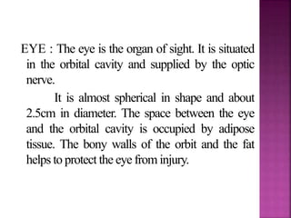 instillation and irrigation of eye,ear.nose