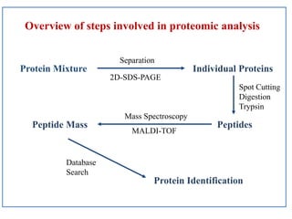 Proteomics and its applications in phytopathology | PPTX