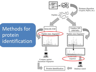 Proteomics and its applications in phytopathology | PPTX