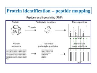 Proteomics and its applications in phytopathology | PPTX