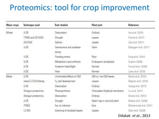 Proteomics and its applications in phytopathology | PPTX