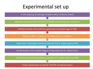 Proteomics and its applications in phytopathology | PPTX