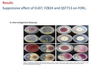 Proteomics and its applications in phytopathology | PPTX