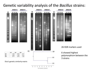 Proteomics and its applications in phytopathology | PPTX